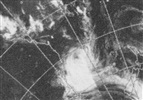 Cyclone Colin, 1976: satellite image 